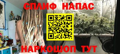 a pvp Лесосибирск
