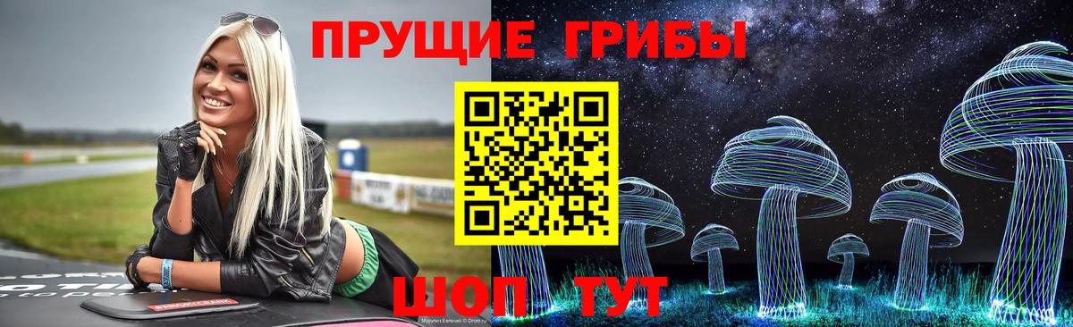 Галлюциногенные грибы Magic Shrooms  Вход с VPN  Псилоцибиновые грибы прущие грибы  Чайковский 